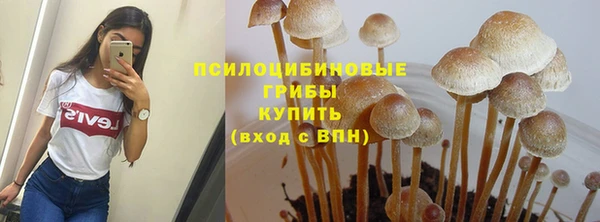 МДМА Армянск