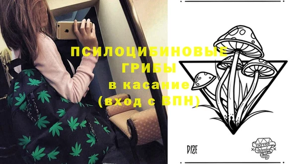 МДМА Богородицк