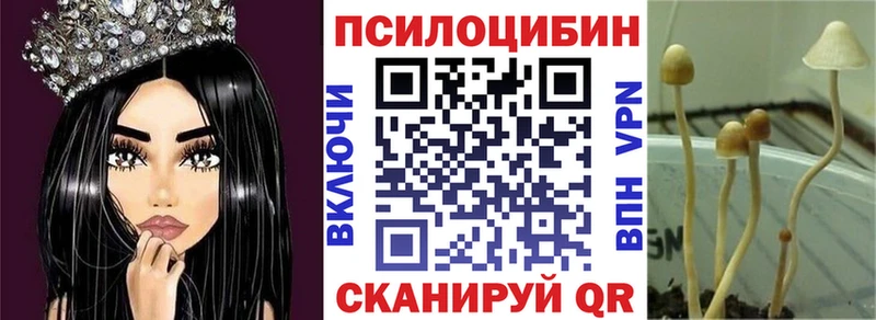 Псилоцибиновые грибы MAGIC MUSHROOMS купить Красный Холм